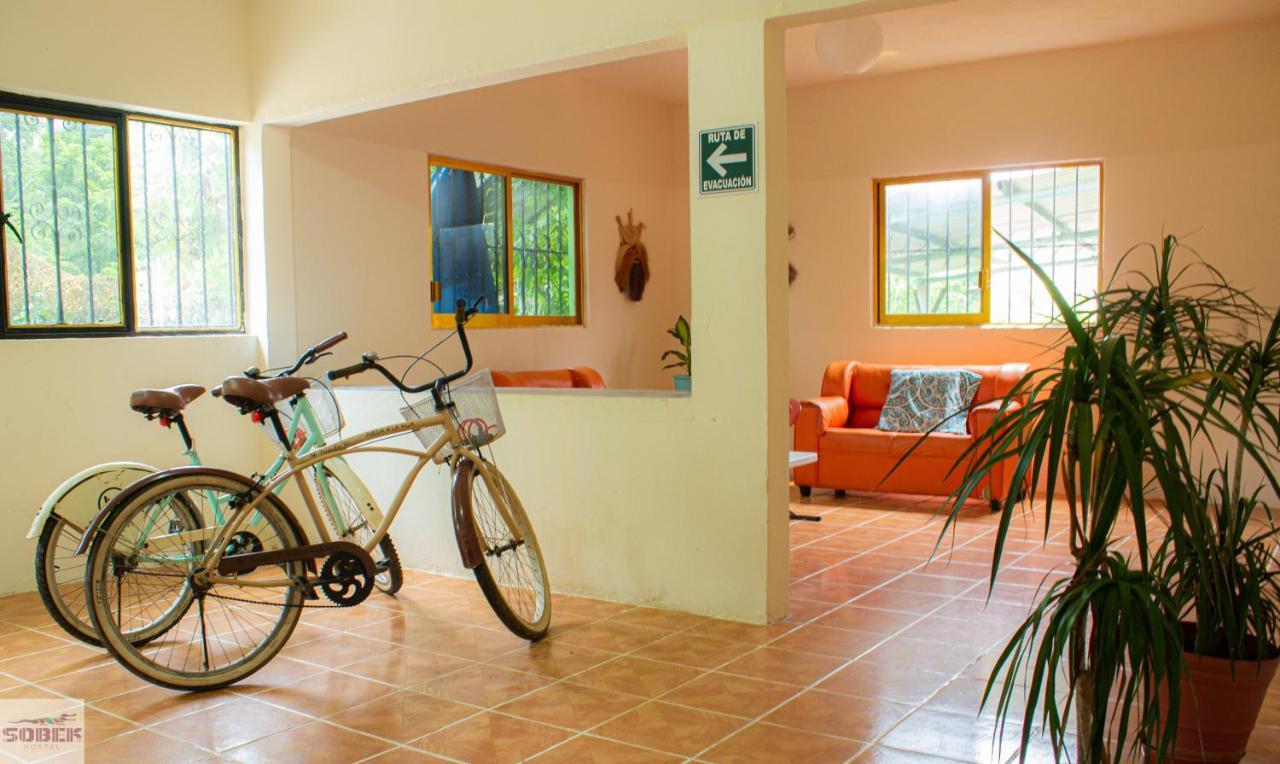 Hotel Casa Sobek Puerto Escondido  Exteriér fotografie